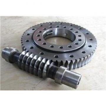 Tire handler slewing bearings 